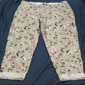 Rolled Ankle/Cropped Khaki Pants With Back Pockets